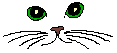 miao...!
