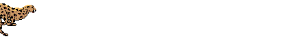 giaguaro2.gif (8099 byte)