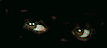 novita67.gif (3025 byte)